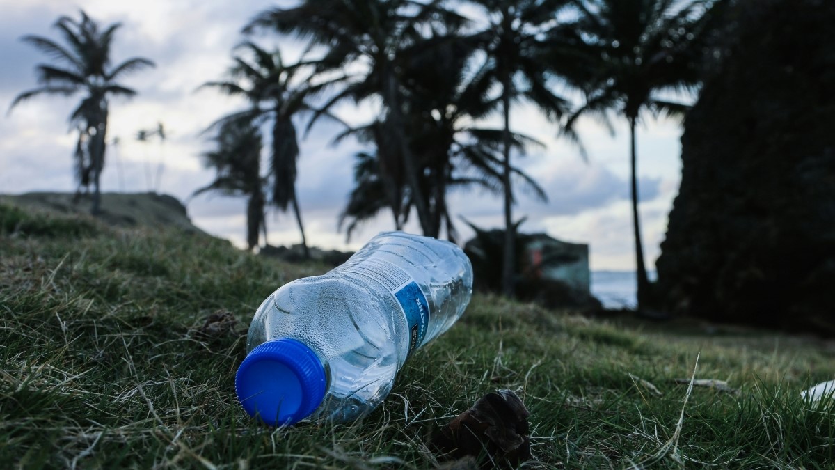 Tarife Dışı Tedbirlerin Plastik Yerine Geçebilecek Ürünlerin Ticareti Üzerindeki Etkisi